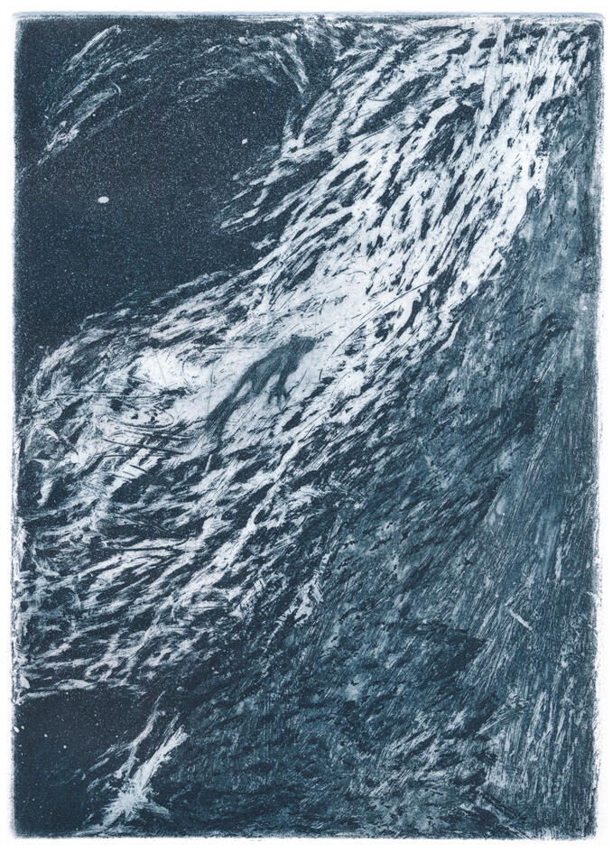 Serie Compost/ stampa calcografica, P/A 1/3.